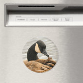 カナダグースオンザレイク マグネット (インサイチュ (食洗機))