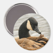 カナダグースオンザレイク マグネット (正面/裏面)