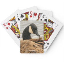 カナダグースグルーミングオンザレイク