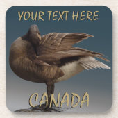 カナダグースコースターカスタムカナダコースター コースター (正面)