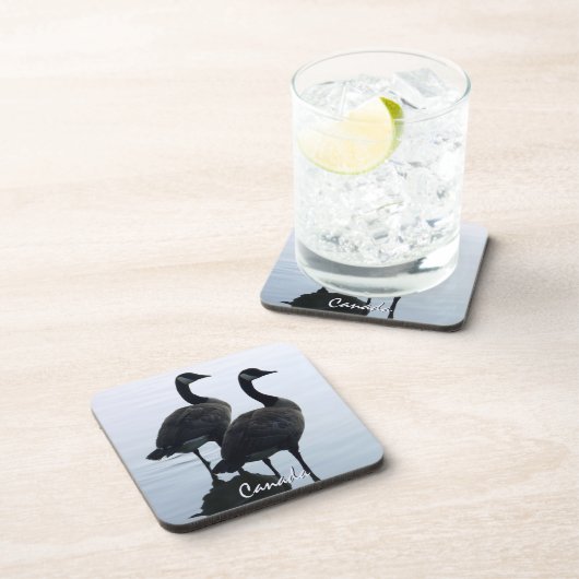 カナダグースコースターカスタムカナダコースター コースター (右側)