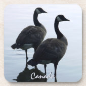 カナダグースコースターカスタムカナダコースター コースター (正面)