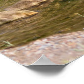 カナダグースゴスリングベビー野生動物 ポスター (角)