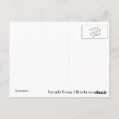カナダグースゴスリング ポストカード (裏面)