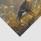 カナダグースゴールデンアワーホワイトデイジーデコページ 薄葉紙 (詳細)