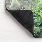 カナダグーストリオ自然 マウスパッド (コーナー)