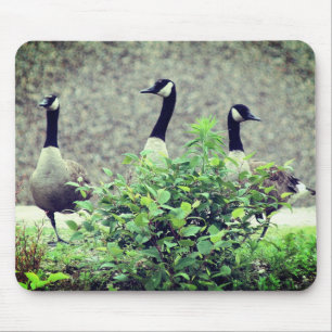 カナダグーストリオ自然 マウスパッド