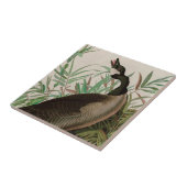 カナダグースバーズオブアメリカオードボンプリント タイル (側面)