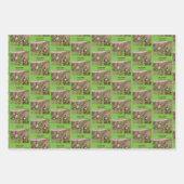 カナダグースファミリーパーソナライズされた動物 ラッピングペーパーシート (正面2)