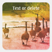 カナダグースファミリーパーソナライズされた自然 スクエアシール (正面)