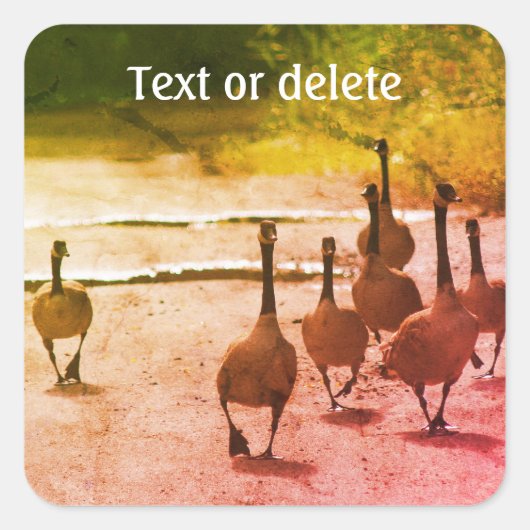 カナダグースファミリーパーソナライズされた自然 スクエアシール (正面)