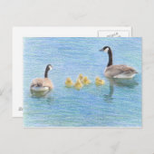 カナダグースファミリーファインアート自然はがき ポストカード (正面/裏面)