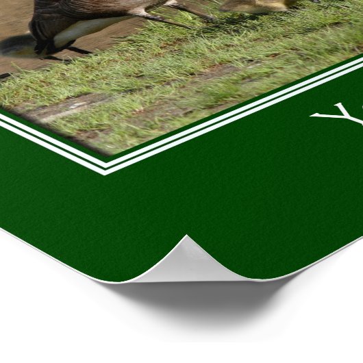 カナダグースファミリー独自の文字を追加 ポスター (角)