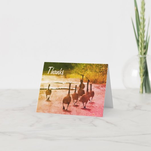 カナダグースファミリー自然サンキューカード サンキューカード (正面)