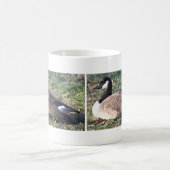 カナダグースフォトマグ コーヒーマグカップ (中央)