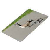 カナダグースフレキシブルマグネット マグネット (左側)