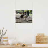 カナダグースプリント ポスター (キッチン)