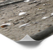 カナダグースプリント ポスター (角)