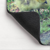 カナダグースベビー自然 マウスパッド (コーナー)