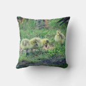 カナダグースベビー野生動物 クッション (裏面)