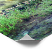 カナダグースベビー野生動物 ポスター (角)