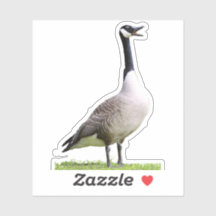 カナダグースホーキング