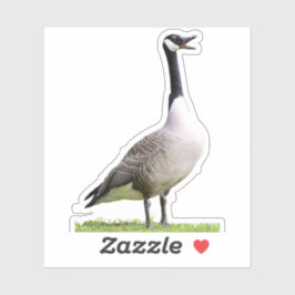 カナダグースホーキング シール