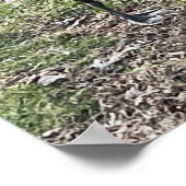 カナダグースポスター ポスター (角)