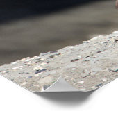 カナダグースポスター ポスター (角)