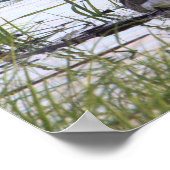 カナダグースポスター ポスター (角)