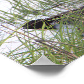 カナダグースポスター ポスター (角)