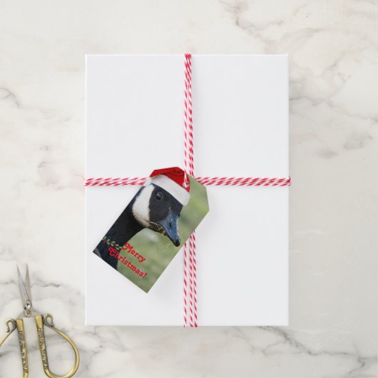 カナダグースポーイングサンタハットホリデイ ギフトタグ (より糸付き)