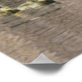 カナダグースマムゴスリングベビー野生動物 ポスター (角)