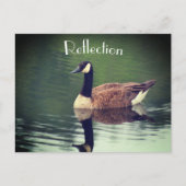 カナダグースリフレクション感動的 ポストカード (正面)
