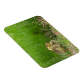 カナダグースリング マグネット (右側)