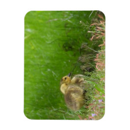 カナダグースリング マグネット