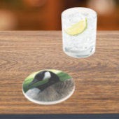 カナダグースワイルドライフフォトサンドストーン コースター