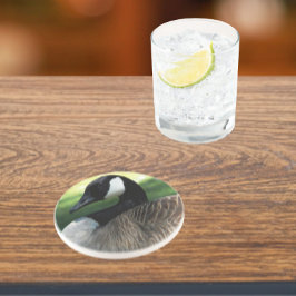 カナダグースワイルドライフフォトサンドストーン コースター