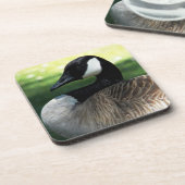 カナダグースワイルドライフフォト コースター (左側)