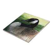 カナダグースワイルドライフフォト タイル (側面)