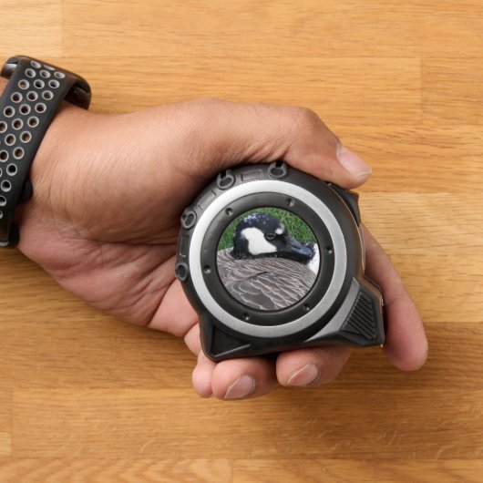 カナダグースワイルドライフフォト メジャー (ホーム)