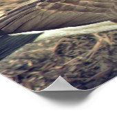 カナダグース写真 ポスター (角)