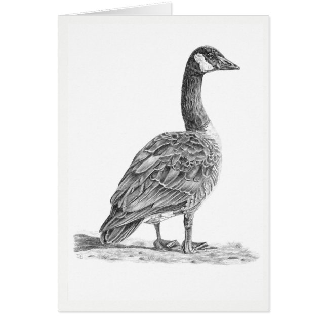 カナダグース (正面)