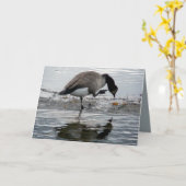 カナダグース1975 カード (黄色い花)