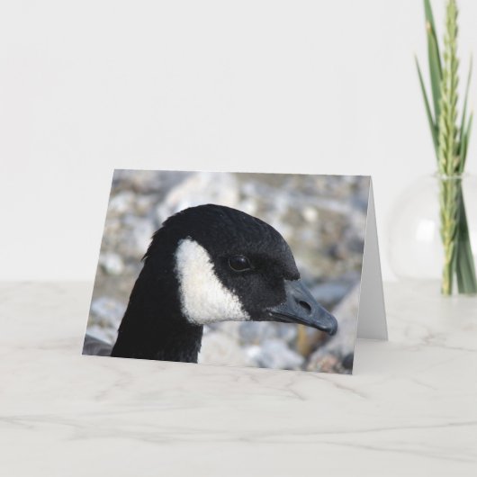 カナダグース カード (正面)