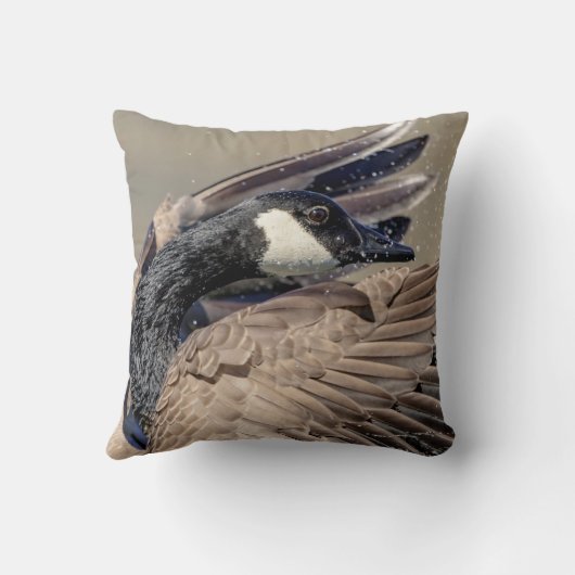 カナダグース クッション (裏面)