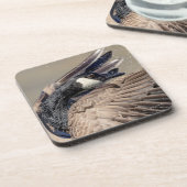 カナダグース コースター (左側)