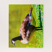 カナダグース ジグソーパズル (縦)