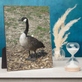 カナダグース フォトプラーク (側面)