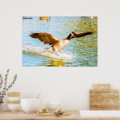 カナダグース ポスター (キッチン)